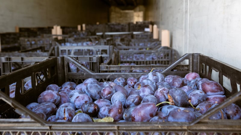 Keeping Freight Moving Through A Critical Transition