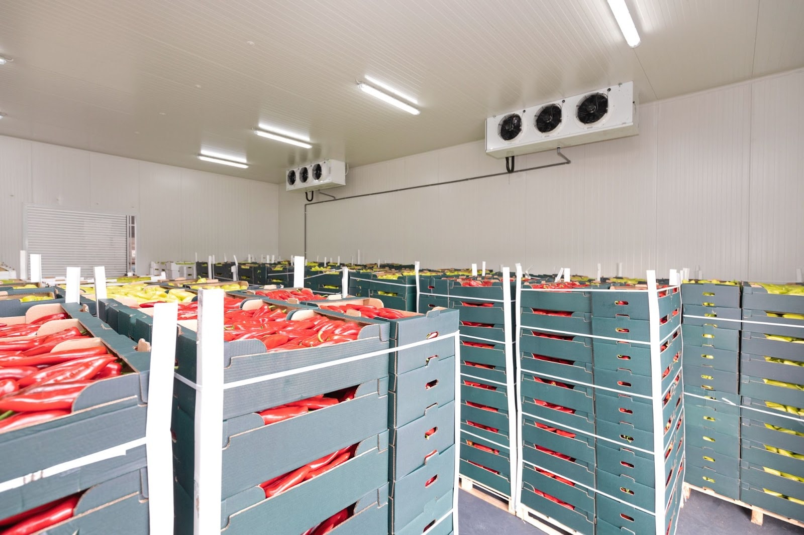 Cold Storage Warehouse: Definition, How It Works, and Key Features -  Inbound Logistics